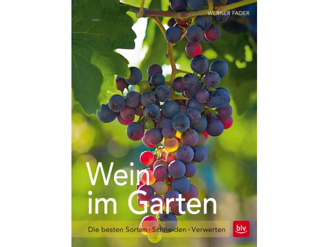 Produktfoto